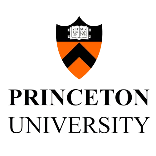 Novogratz Bridge Year Program · Princeton University