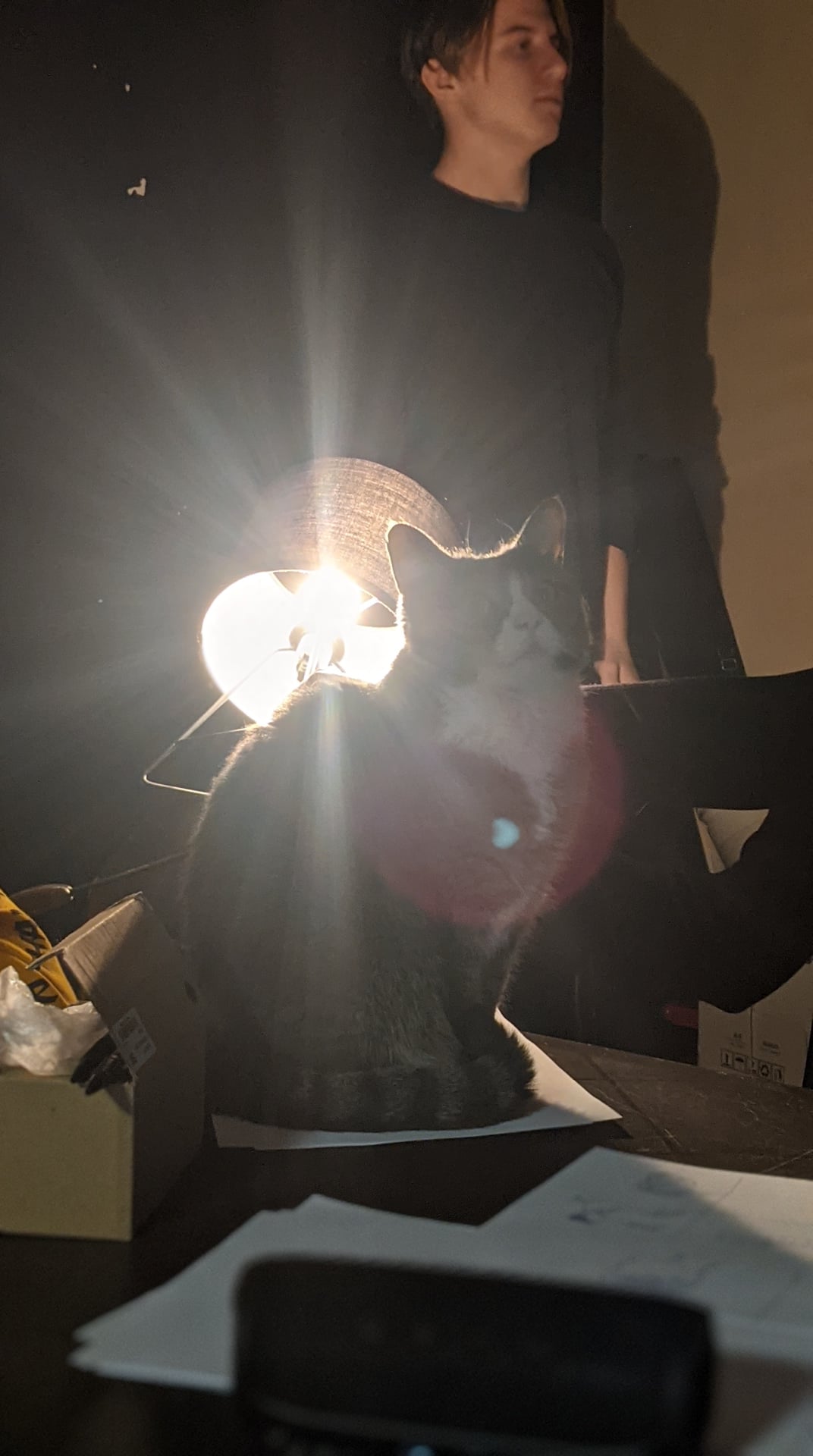 Bezbedni 2021/2022  – Creative workshops — photo 5