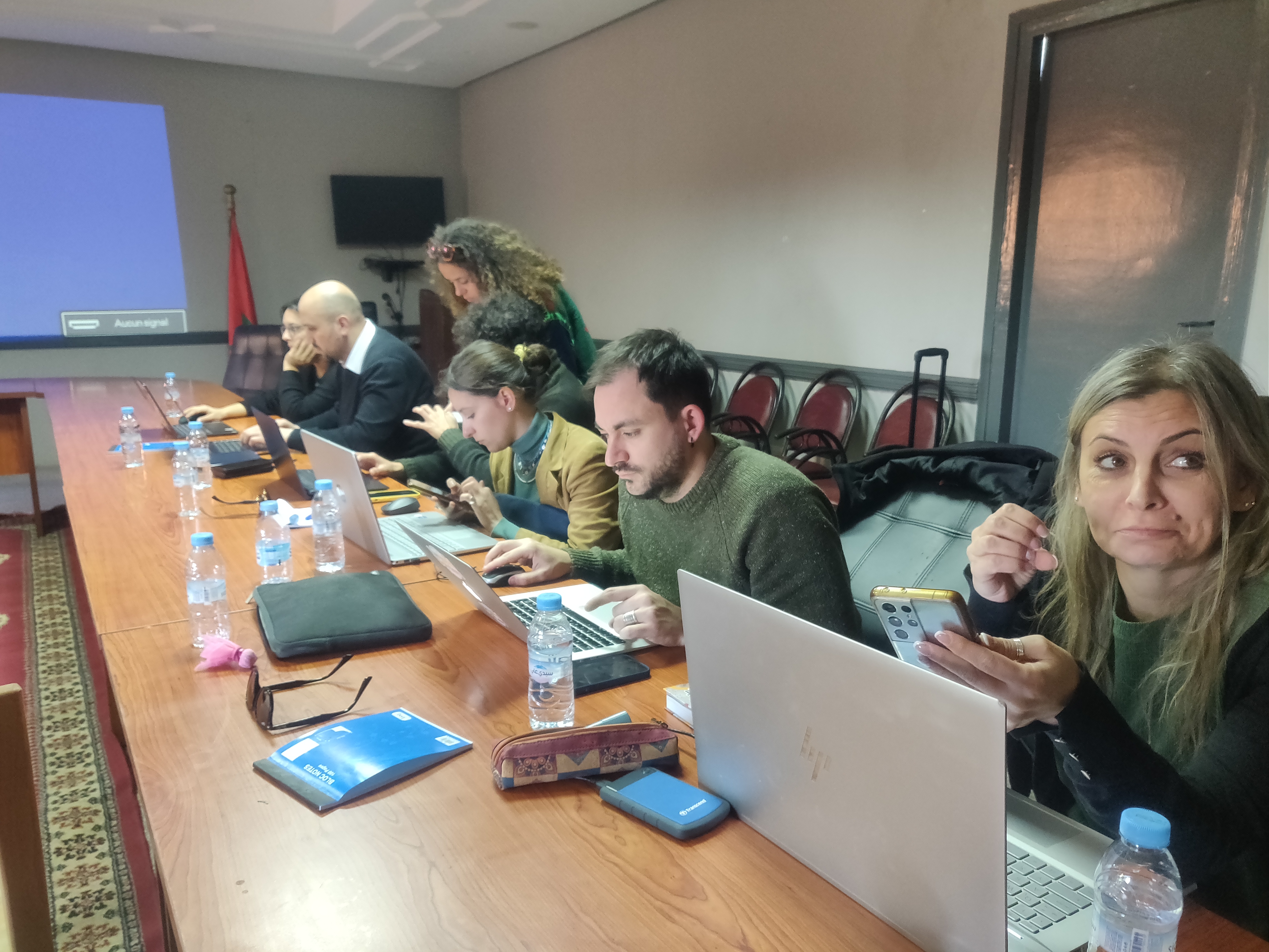 Mid-evaluation Meeting – DiaLog — photo 8
