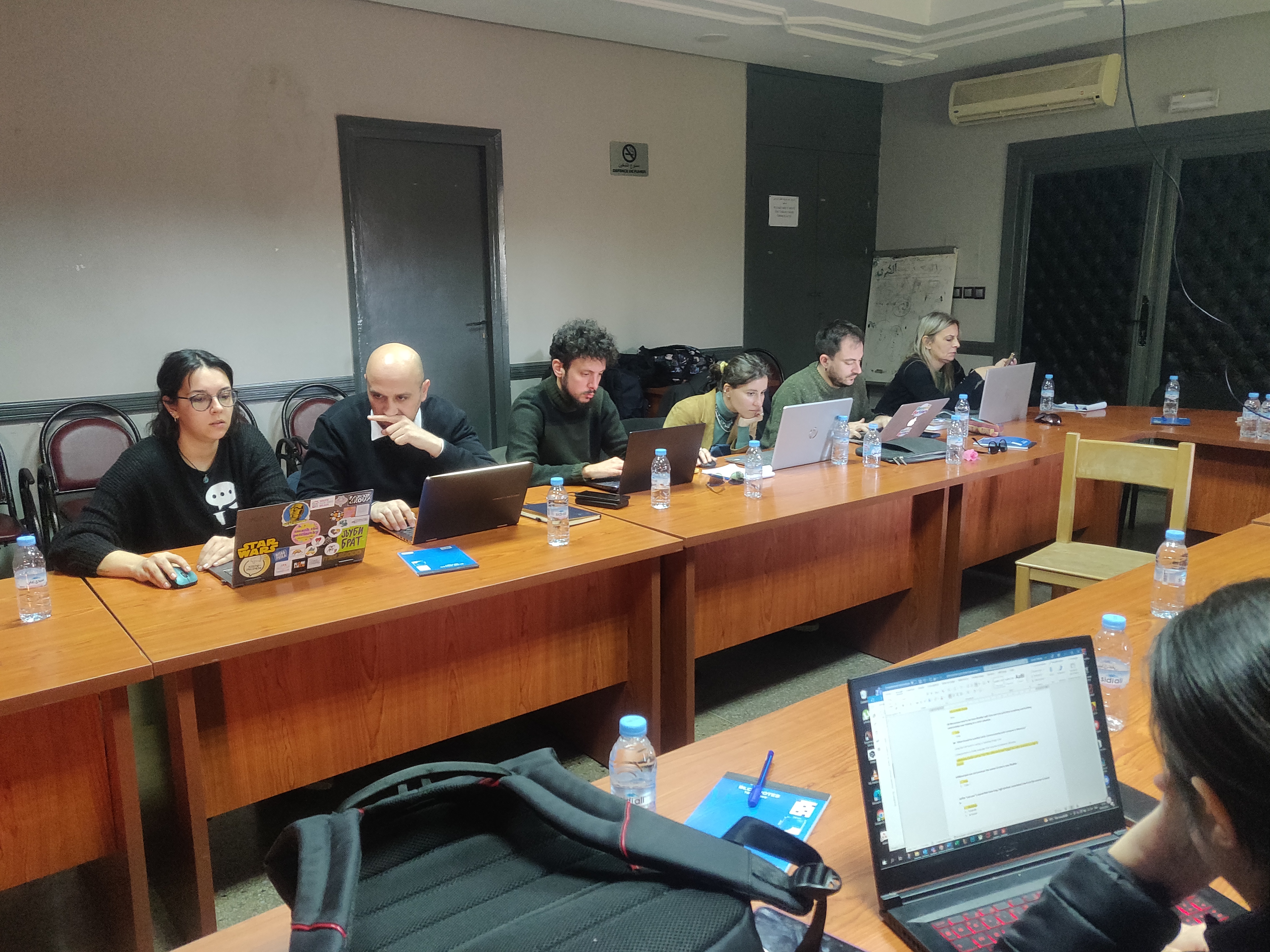 Mid-evaluation Meeting – DiaLog — photo 9