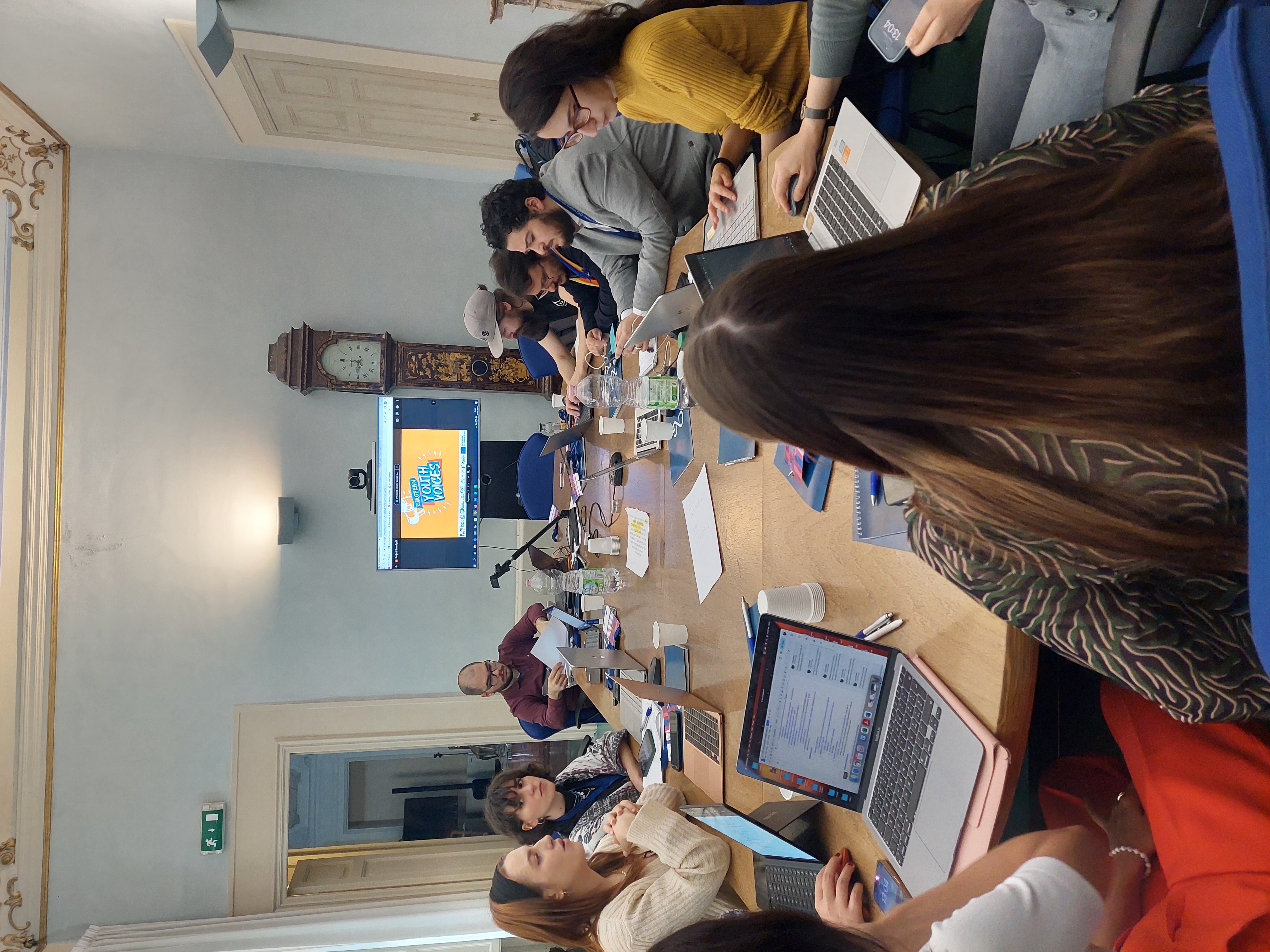 Researchers Meeting – European Youth Voices — photo 6