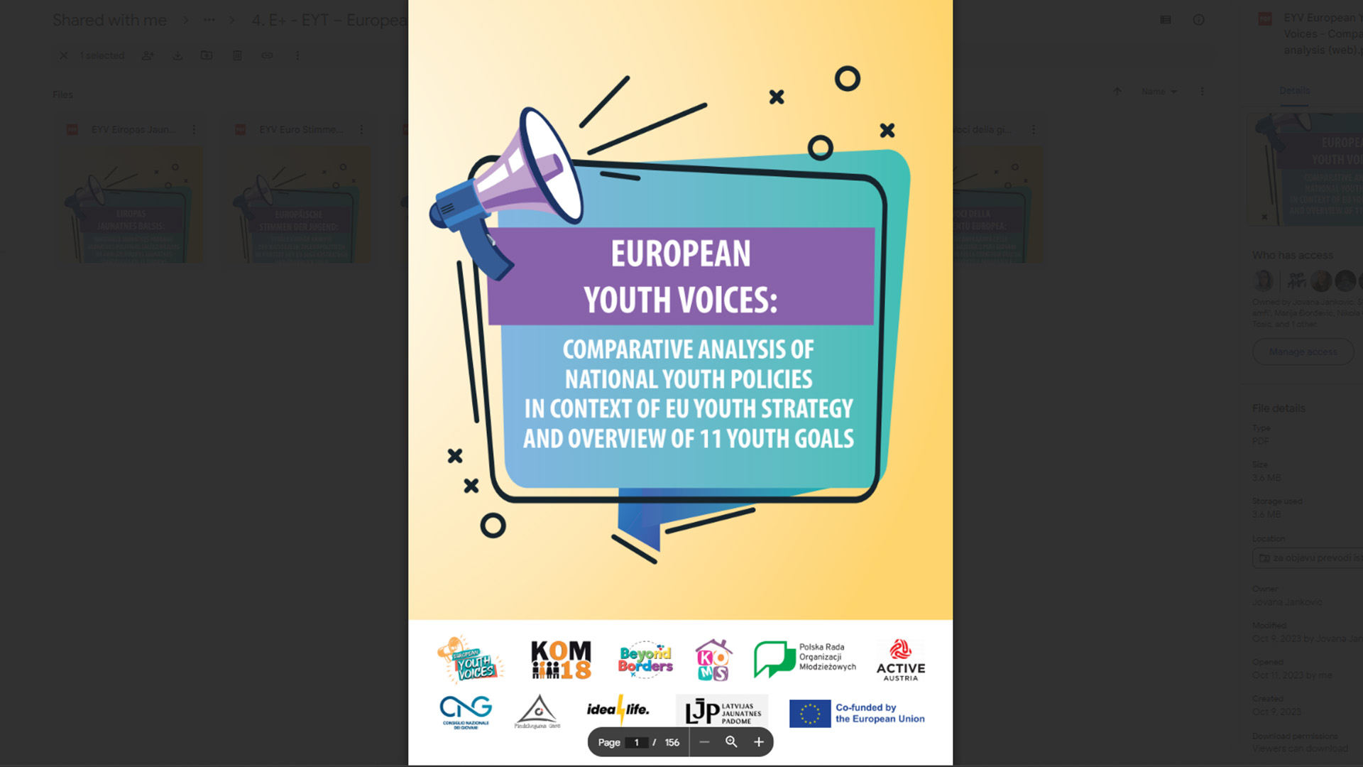 EYV – Comparative analysis of national youth policies