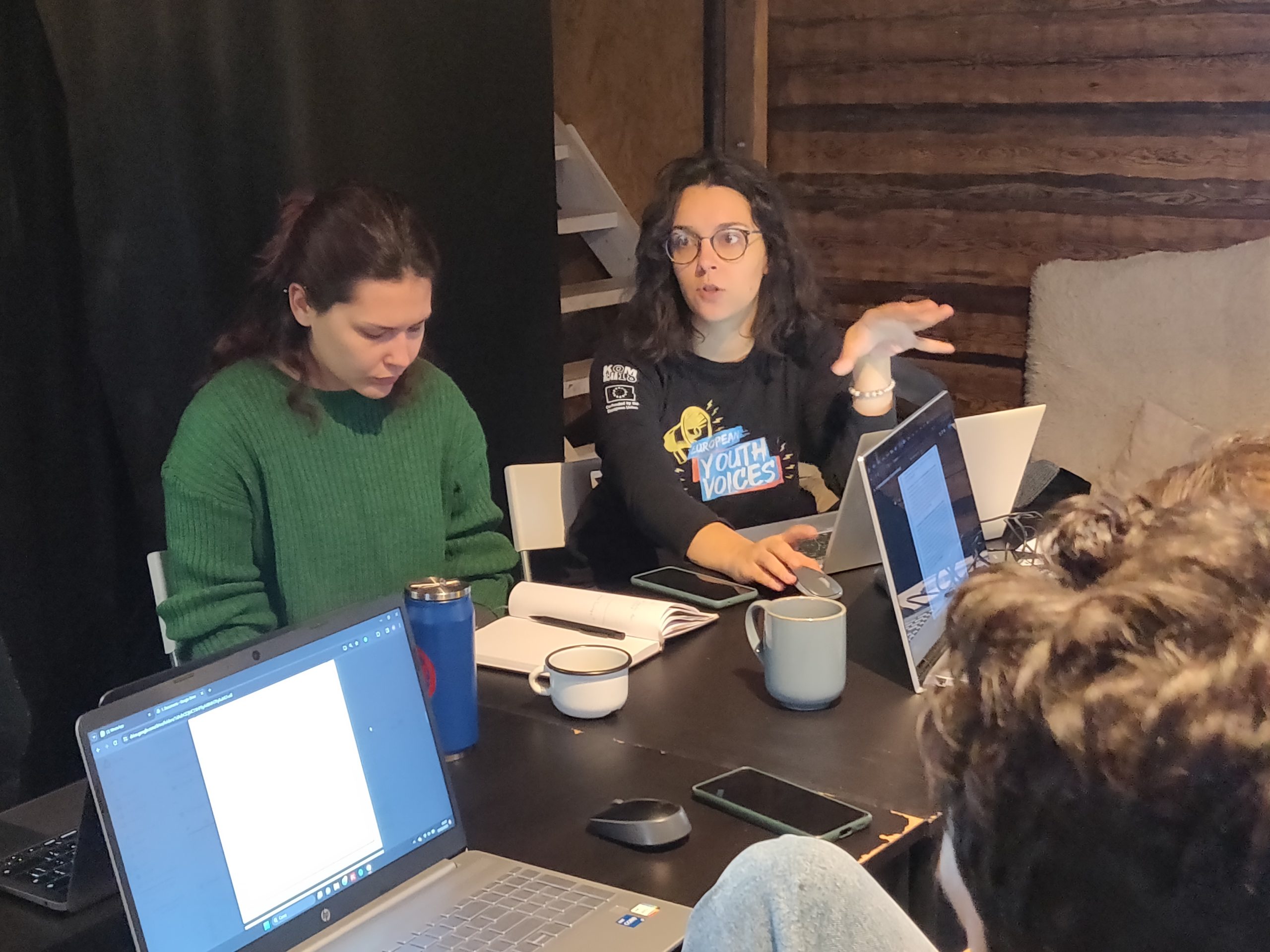 Mid-evaluation Meeting – European Youth Voices — photo 7