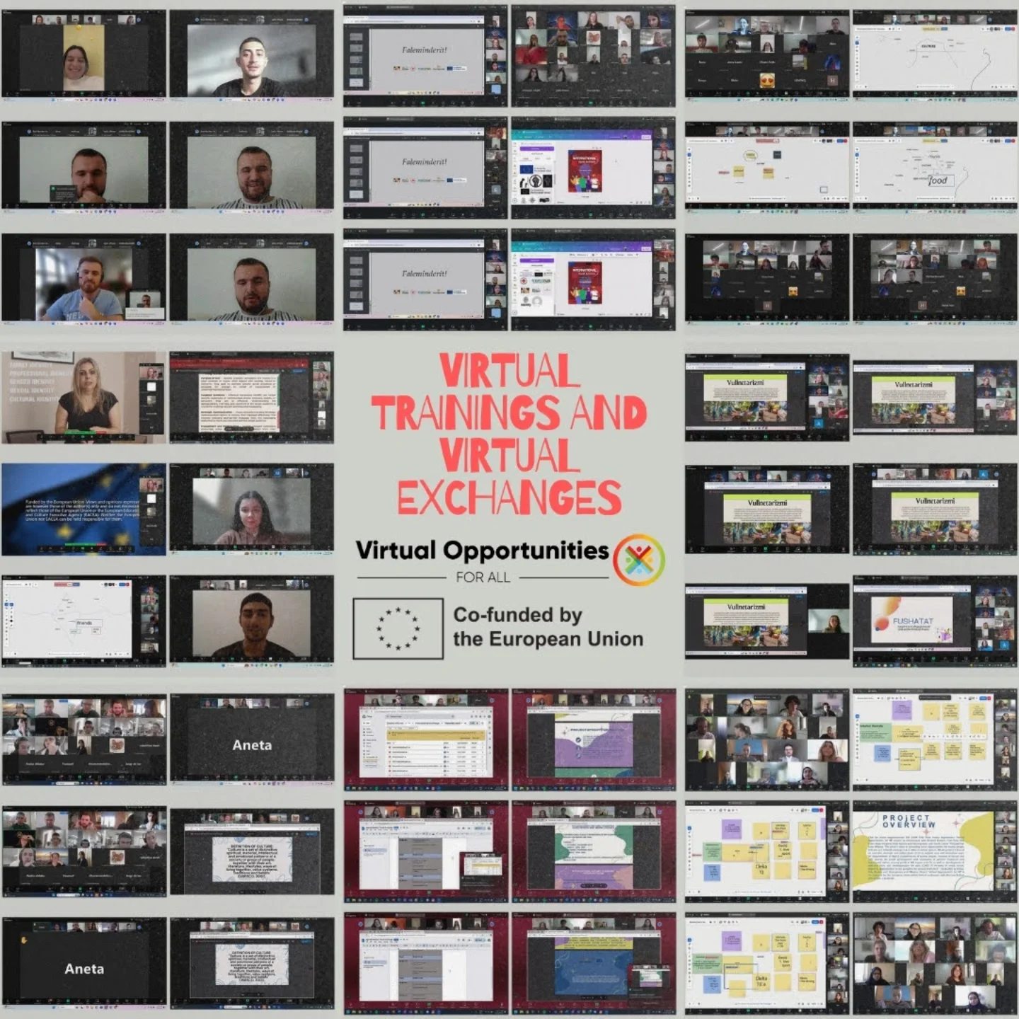 Virtual trainings and exchanges – Virtual Opportunities for All