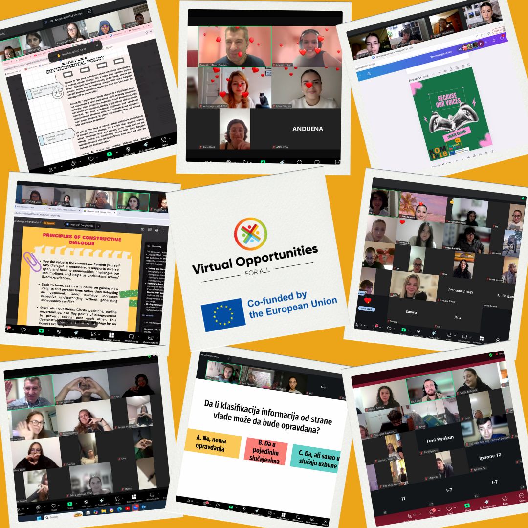 Virtual Opportunities for All — the third cycle has been successfully completed!
